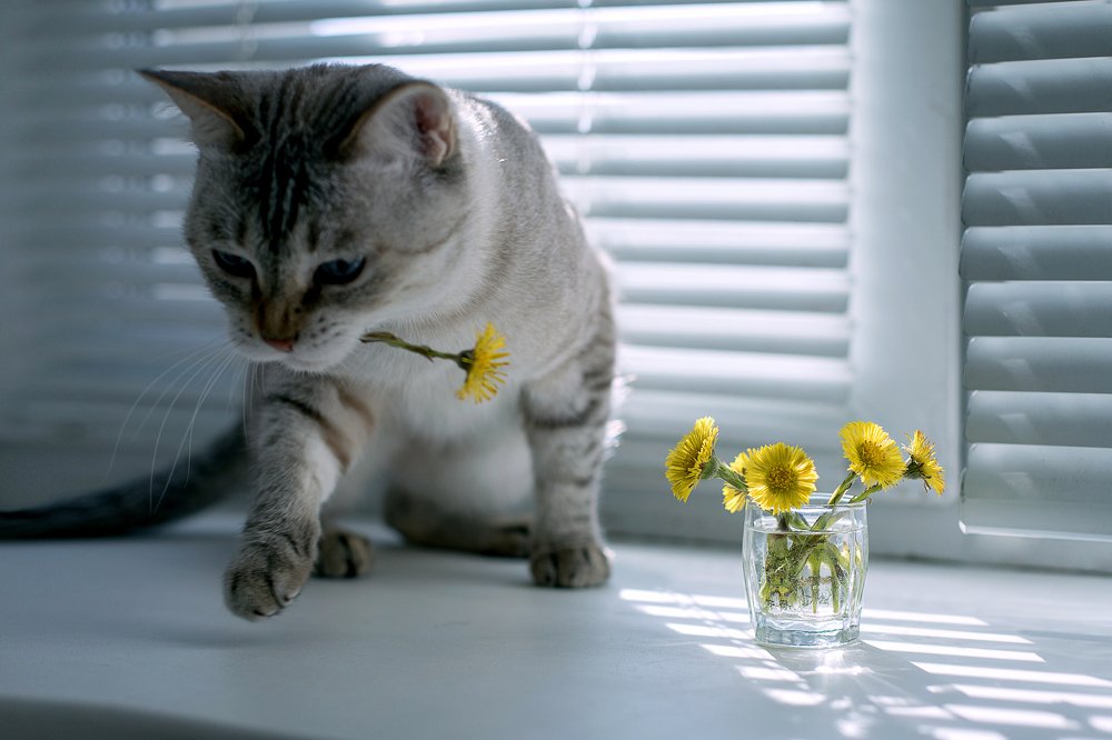 Photograph by Наталья Петренко