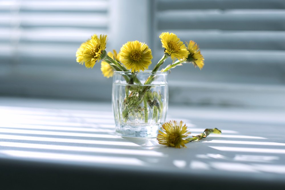 Photograph by Наталья Петренко