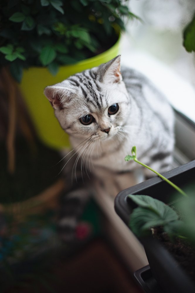 Фотография автора Анна Старцева