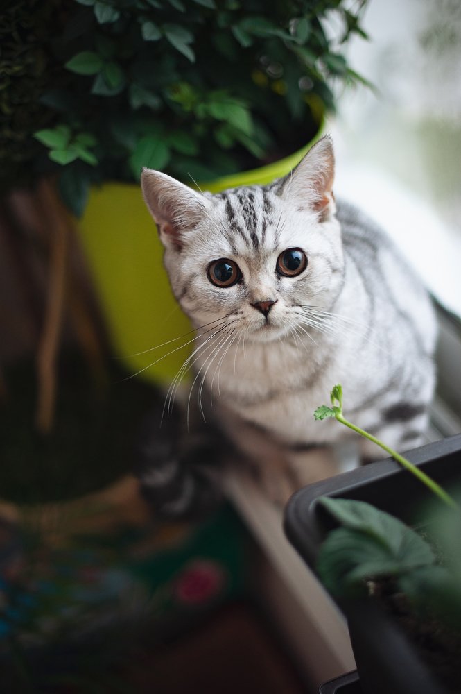 Фотография автора Анна Старцева