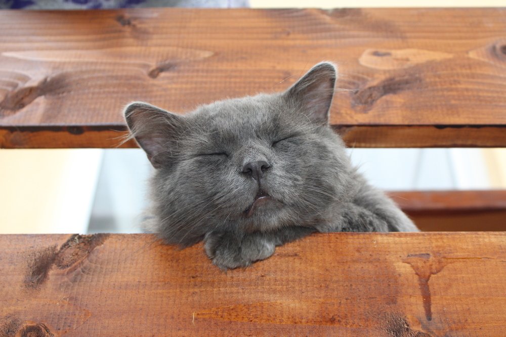 Photograph by Николай Немчанинов