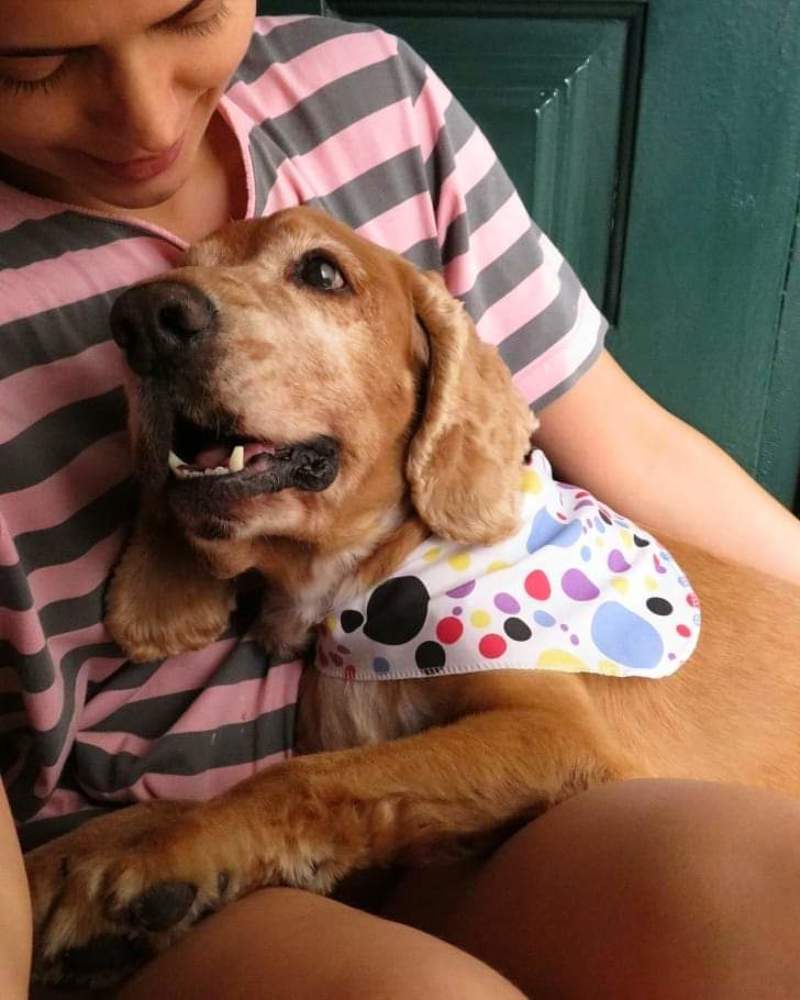 Photograph by Lia Pereira