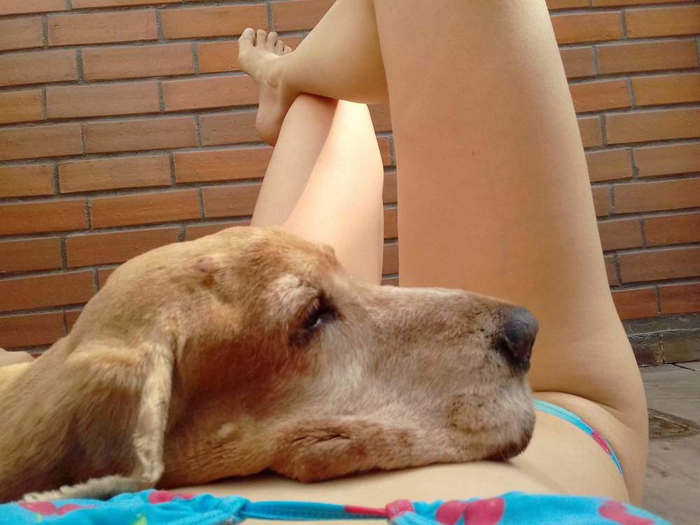 Photograph by Lia Pereira