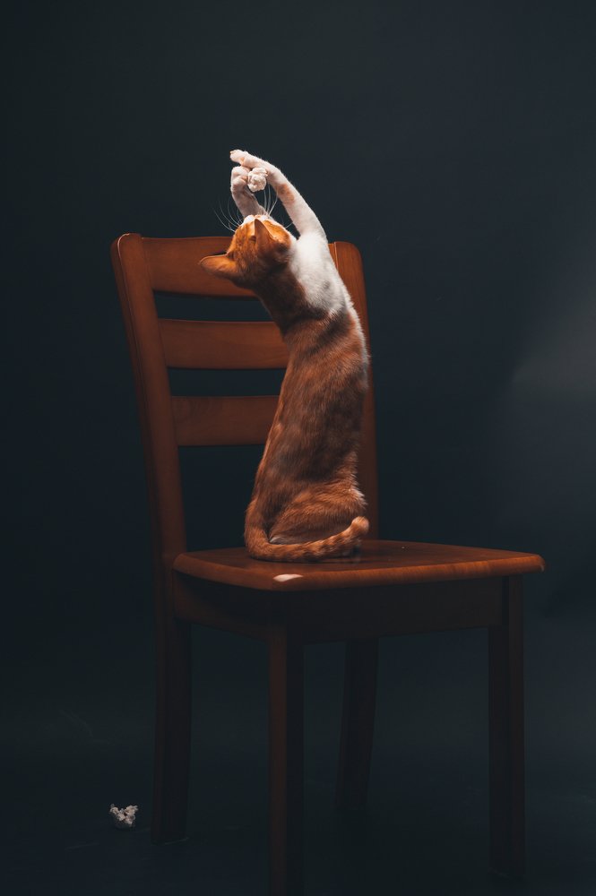 Фотография автора Эдуард Тихонов