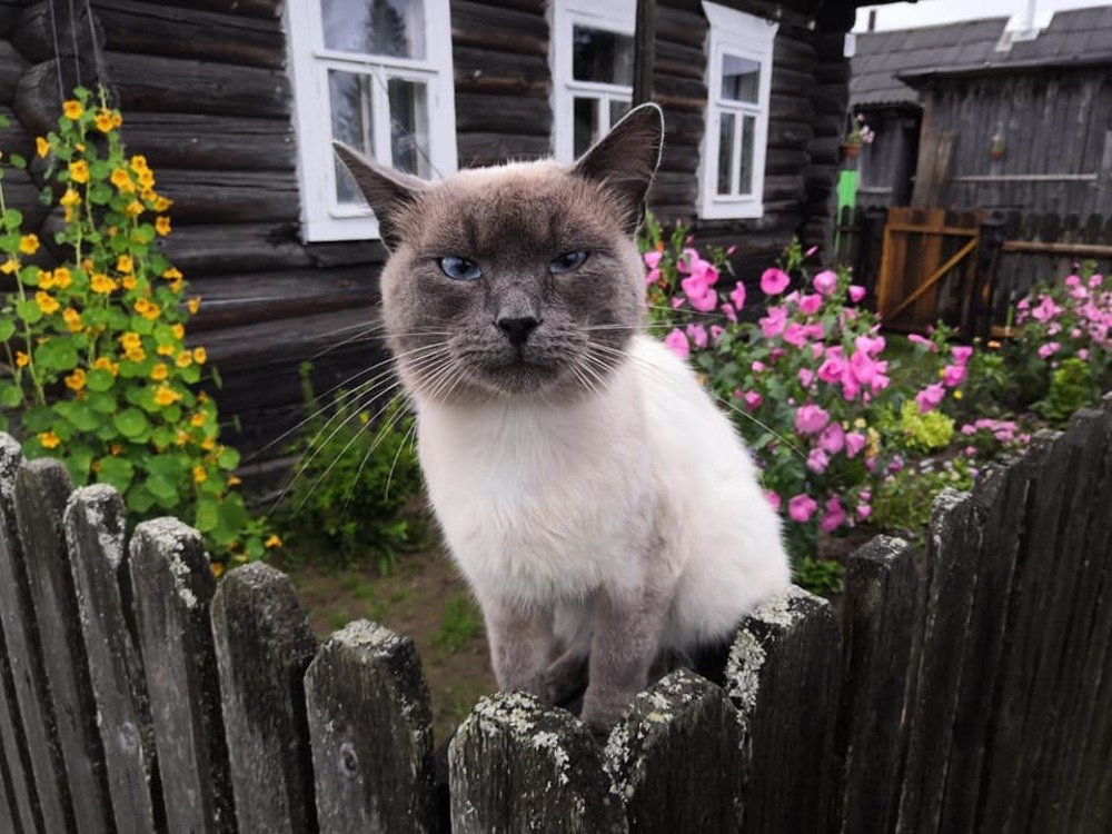 Photograph by Елена Малкова