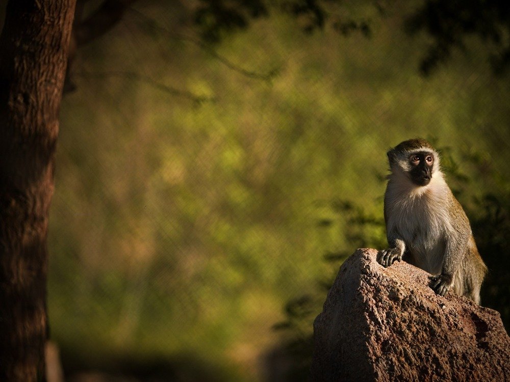 Photograph by WYNN MARK PALLAN