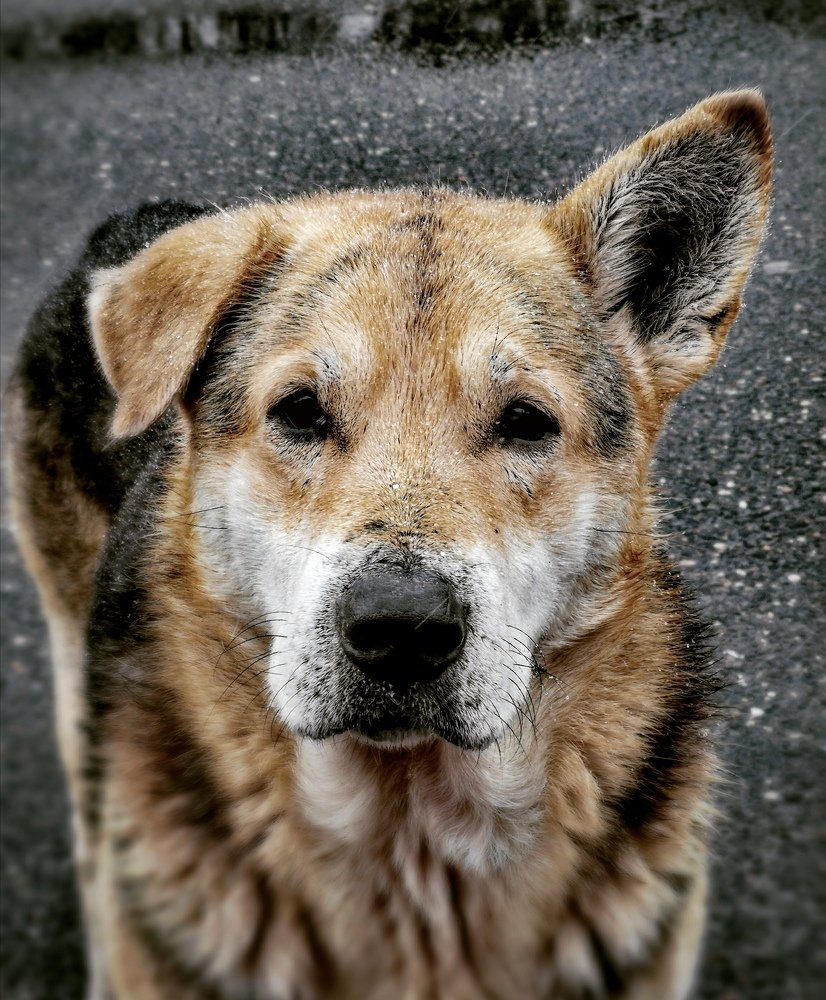 Фотография автора Павел Барский