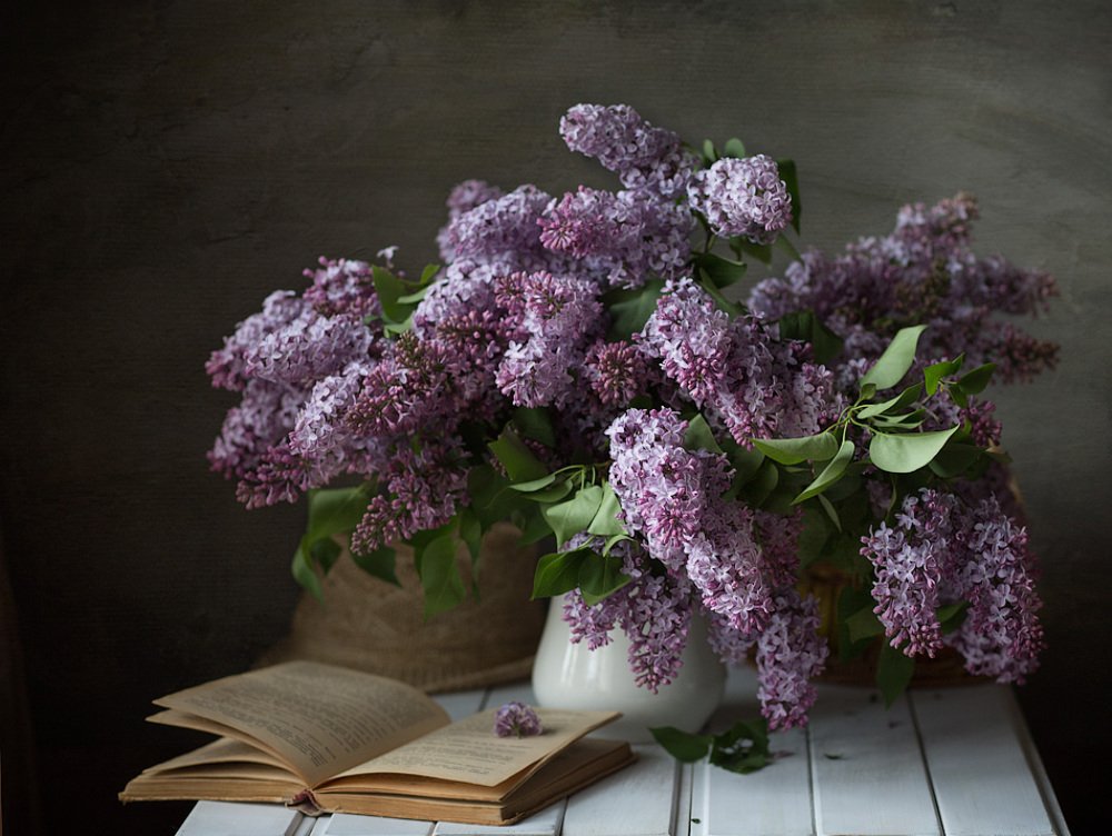 Фотография автора Алина Ланкина