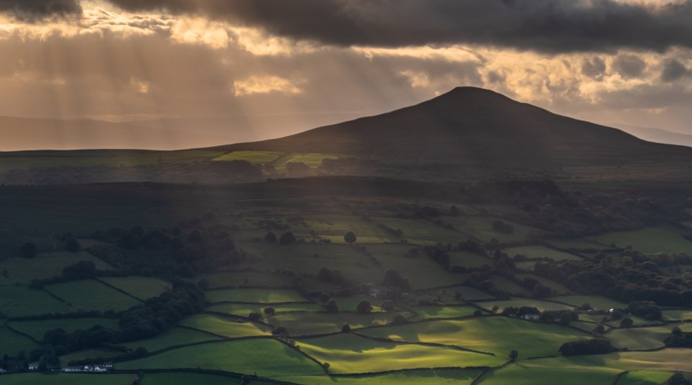 Photograph by Stevie