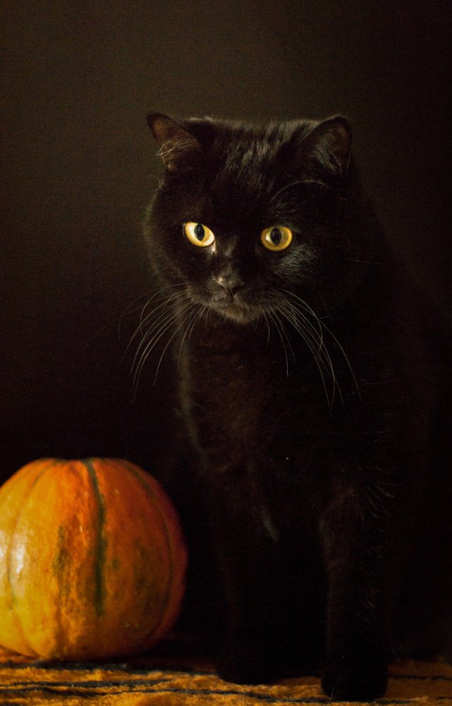 Photograph by Алена Теслюк