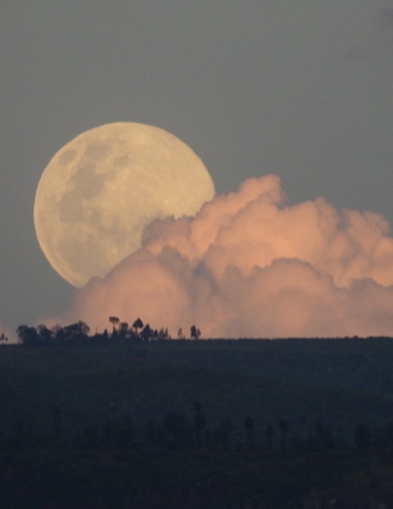 A Covid moon. Time to reflect