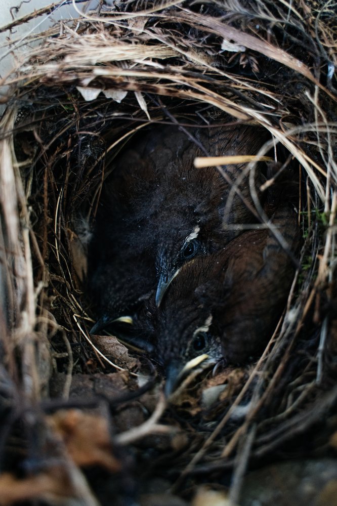 Photograph by Анна Фролова