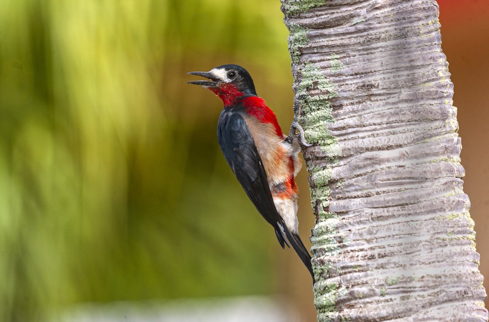 Photograph by ismael martinez