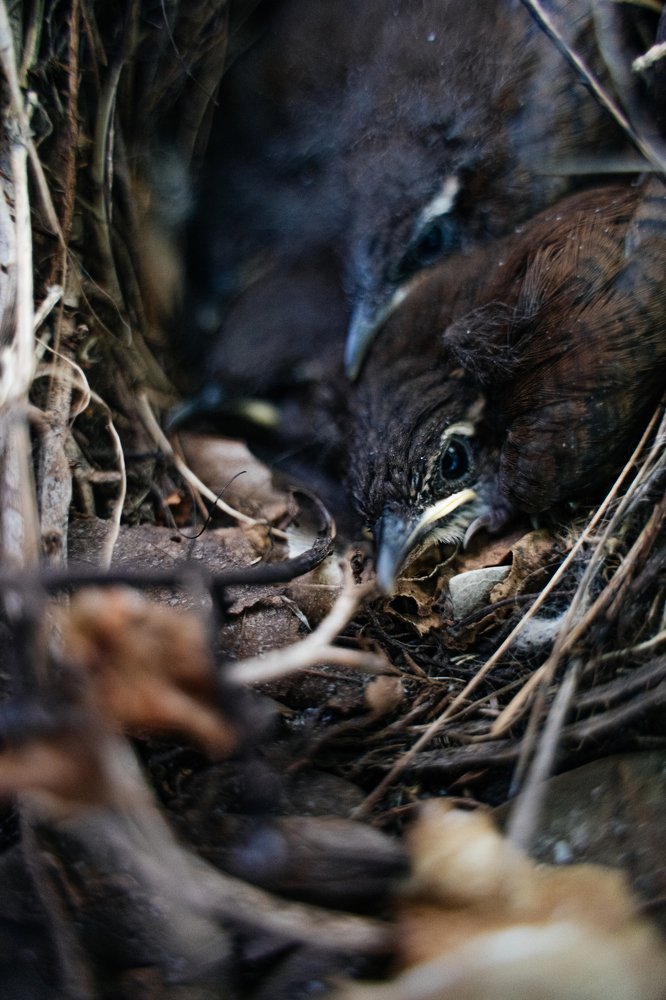 Photograph by Анна Фролова