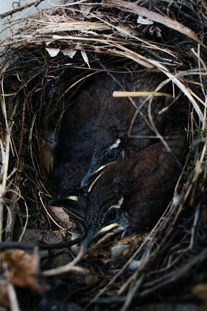 Photograph by Анна Фролова