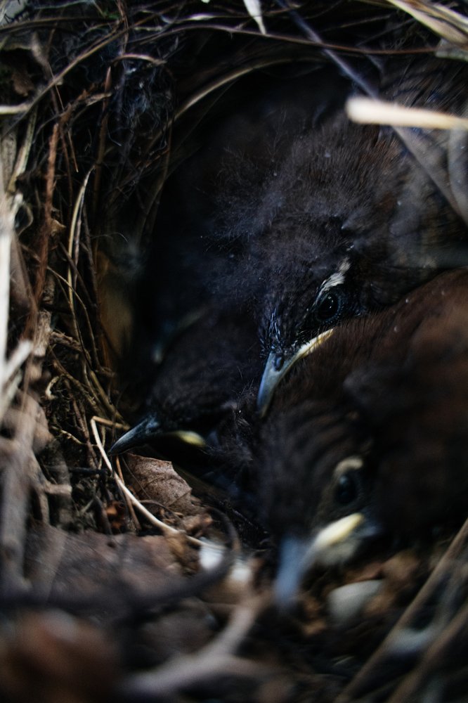 Photograph by Анна Фролова