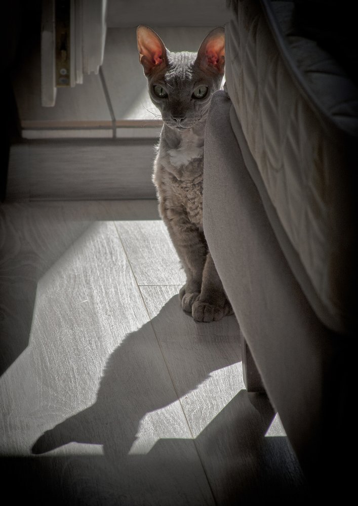 50 оттенков серого и немного розового