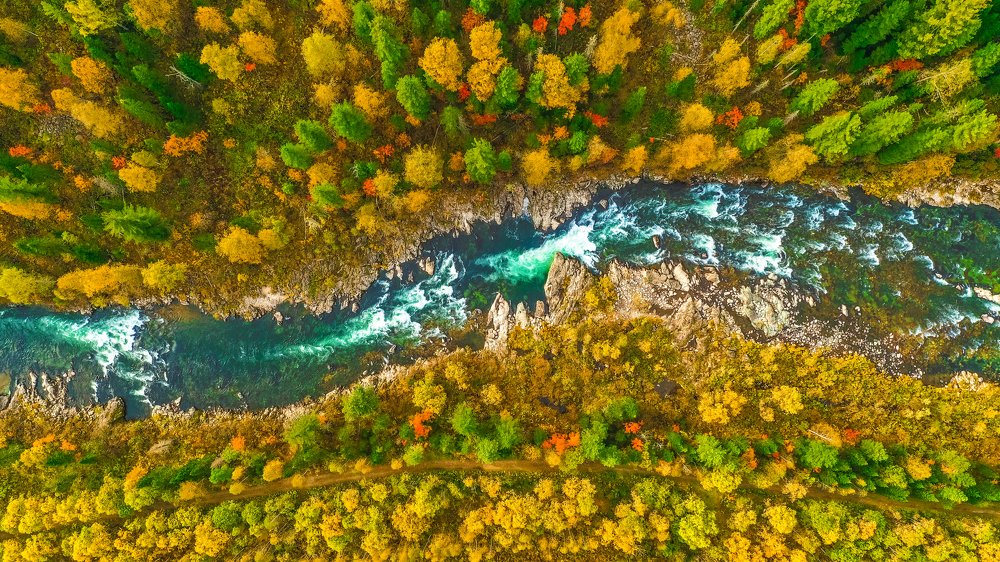 Photograph by Лобачев Юрий