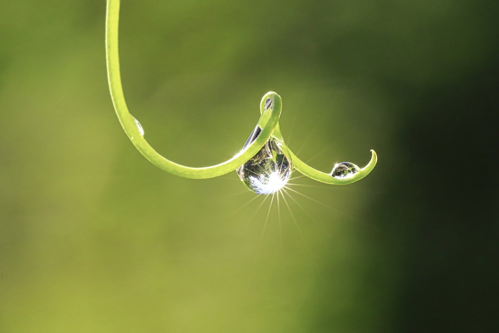 Photograph by Наталья Викарчук