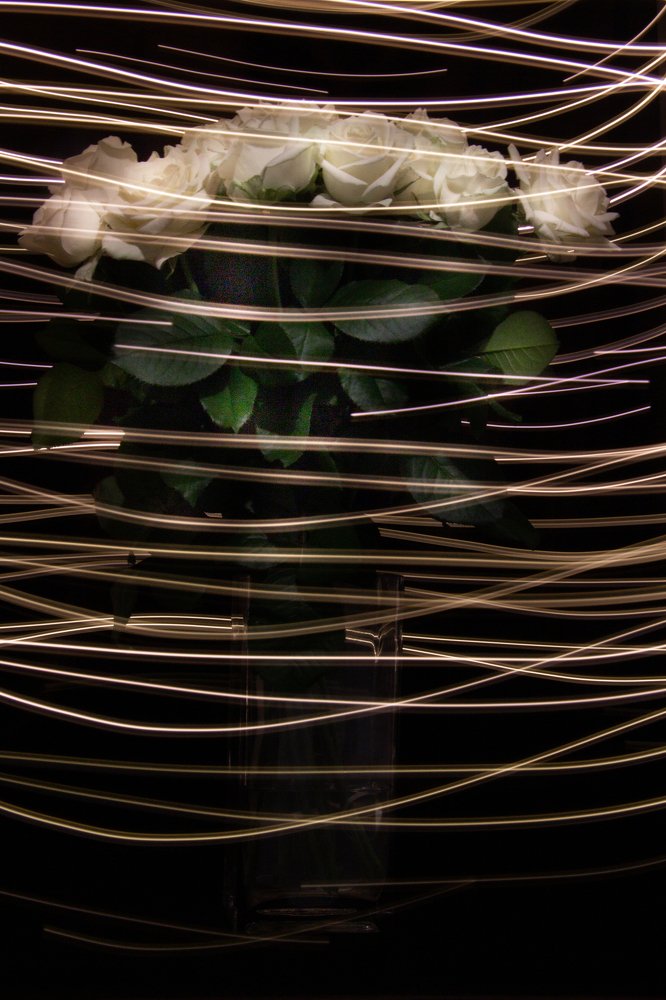 Photograph by Ксения Глубокова