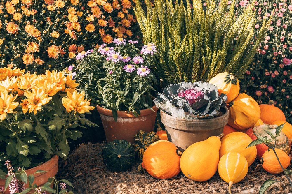 Photograph by Мария Паина