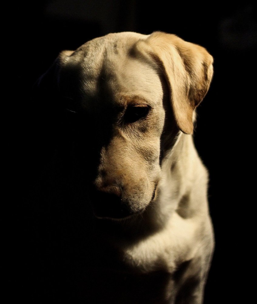 Photograph by Дарья Кузьминых