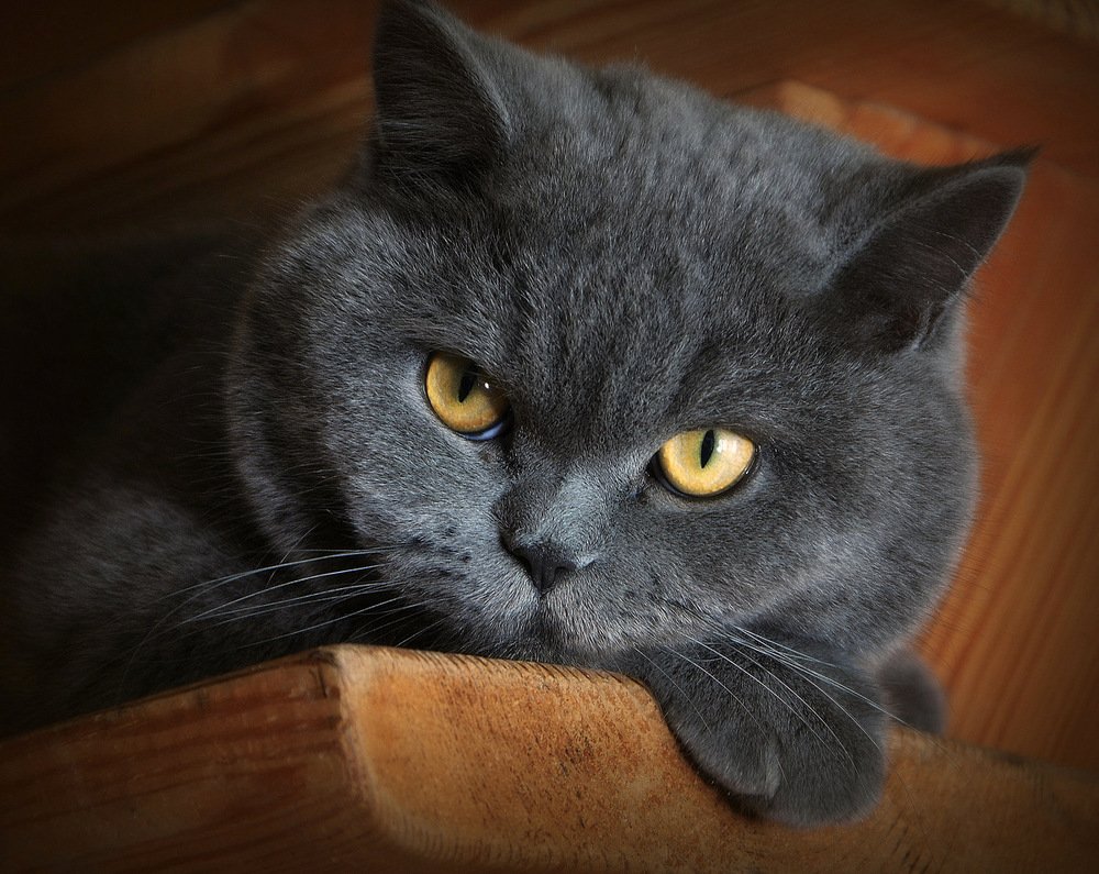 Photograph by Сергей Алексеев