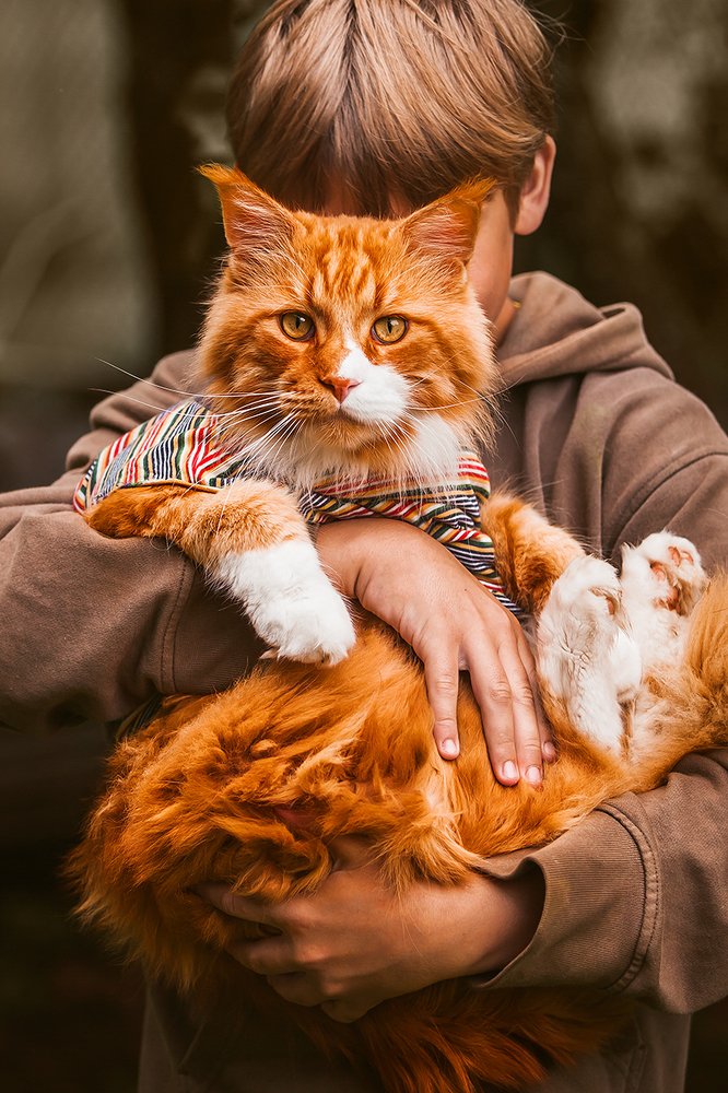 Photograph by Наталья Вистинь