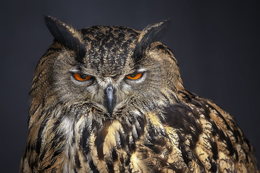 Photograph by Martin Kucera