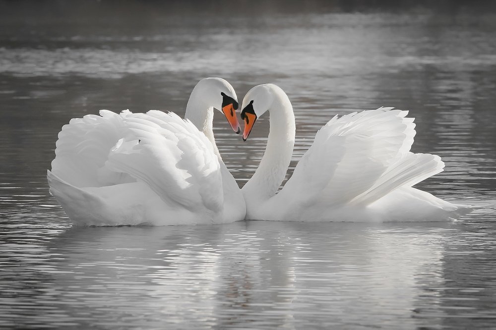 Photograph by Martin Kucera