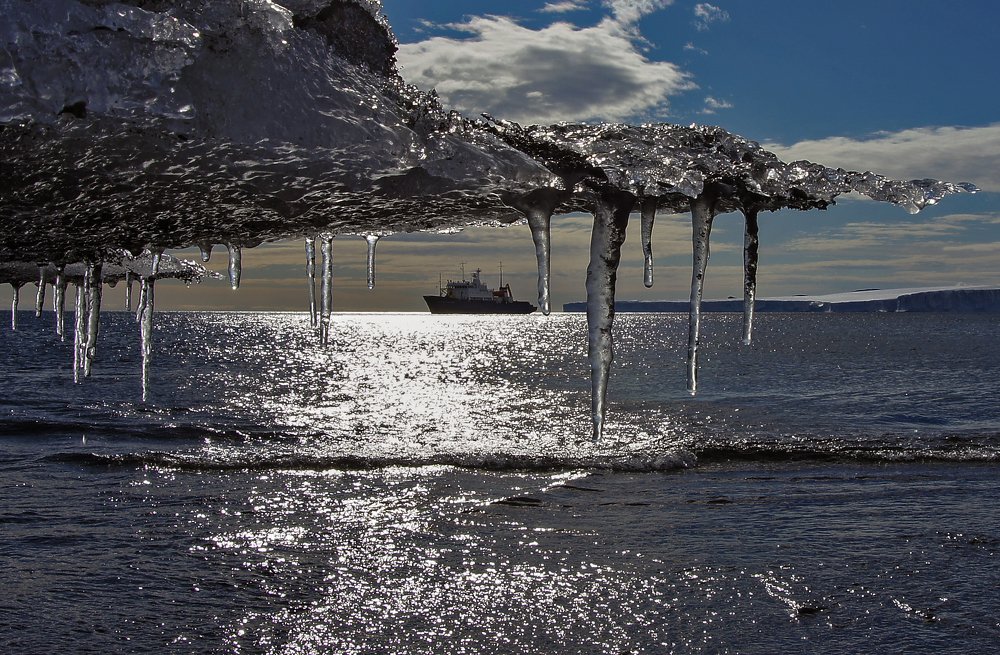 В антарктических водах