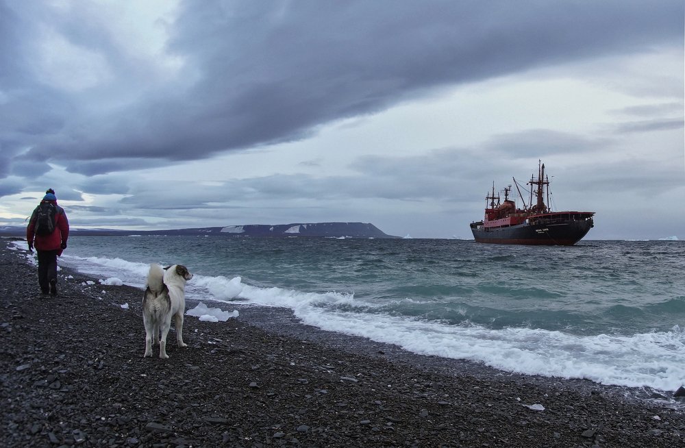 До следующей навигации
