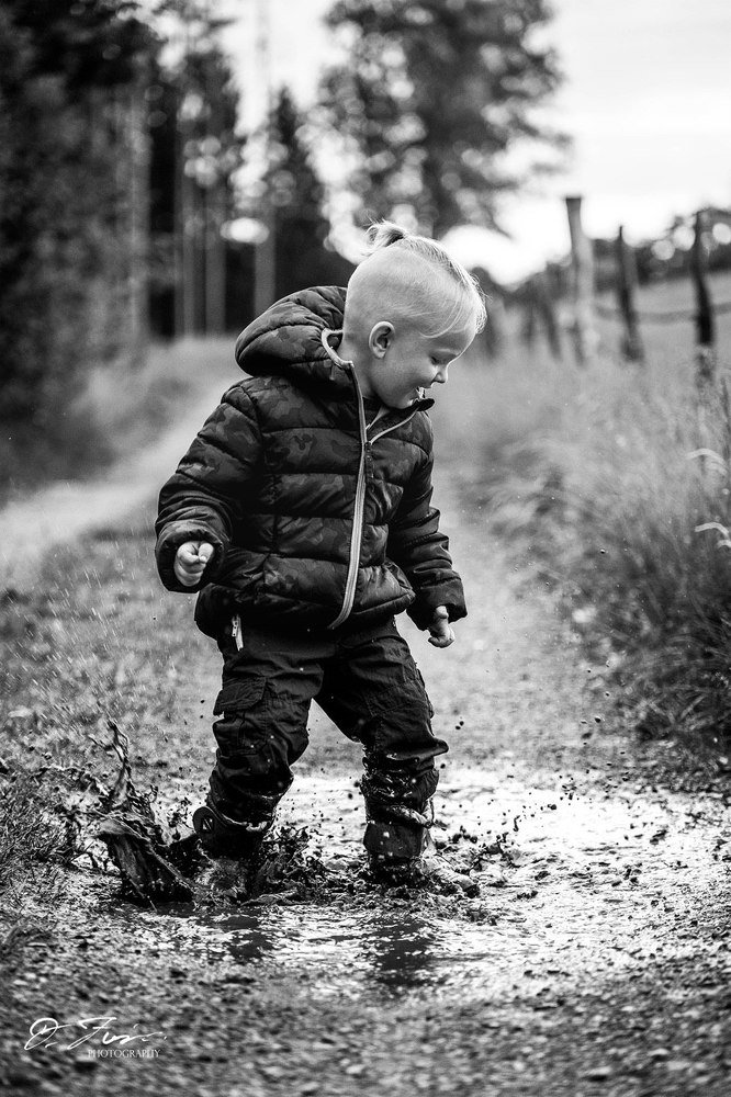 Фотография автора Mansoor Heydaryan