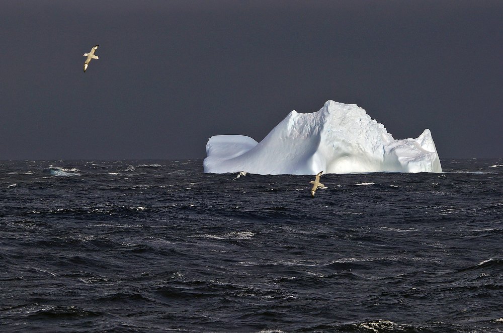 В Южном океане