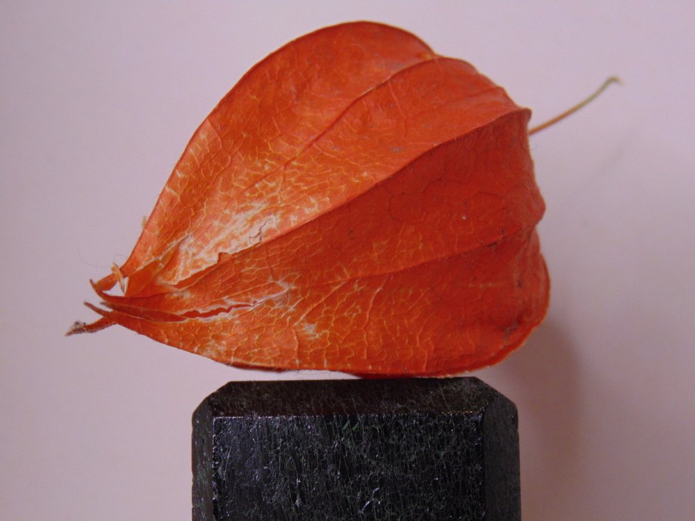 Photograph by Ольга Шевцова