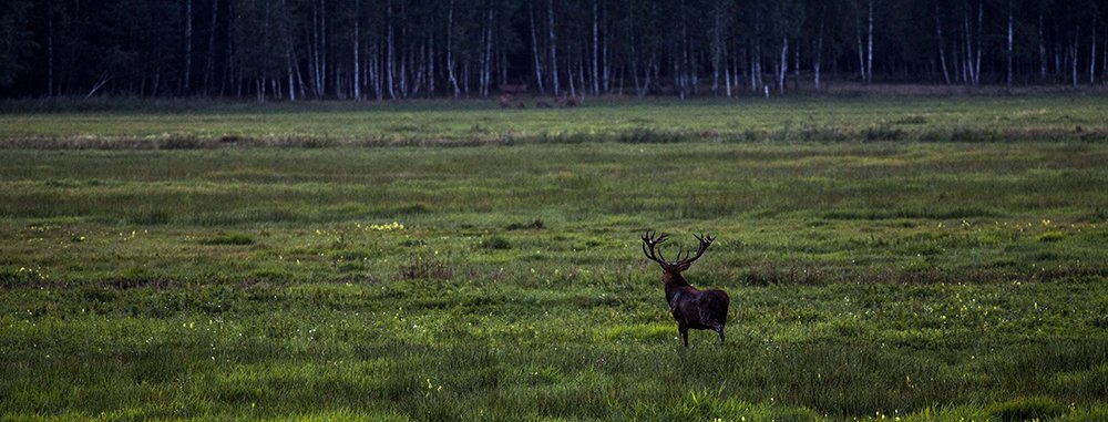 Photograph by Рауф Умудов