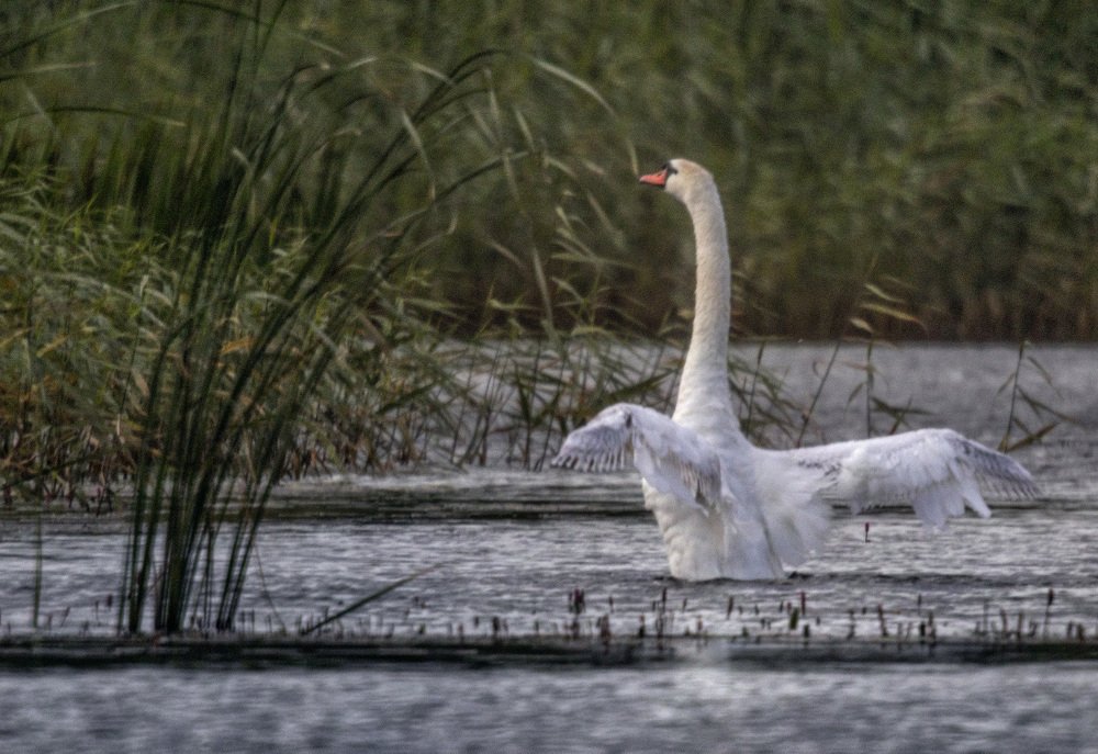 Photograph by миша