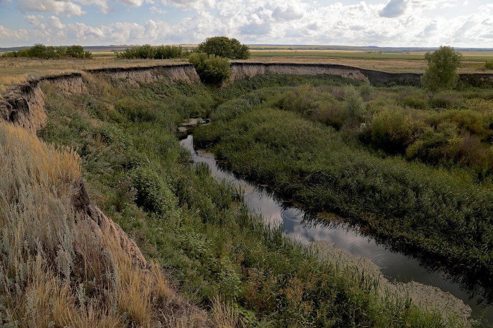 Photograph by Евгений Соколов