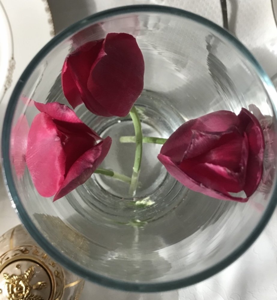 Photograph by Anar K. Amirova