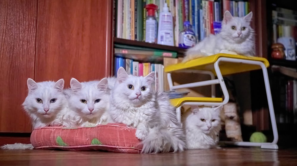 Photograph by Руслан Ибрагимов