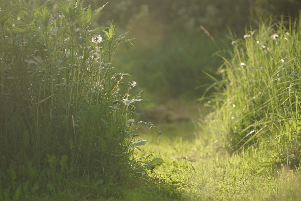 Photograph by Артём Зотин