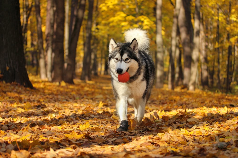 Photograph by Наталья Гайдукевич