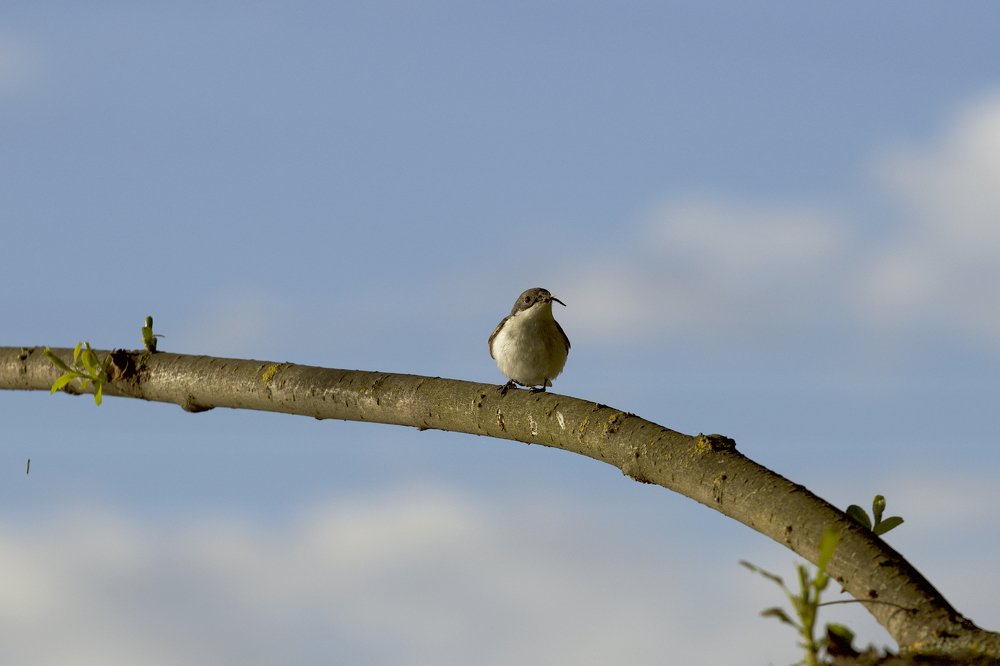 Photograph by Михаил