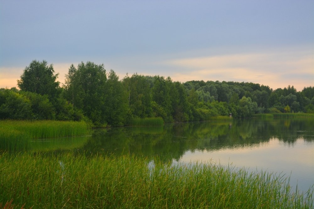 Photograph by Ксения Лебедева