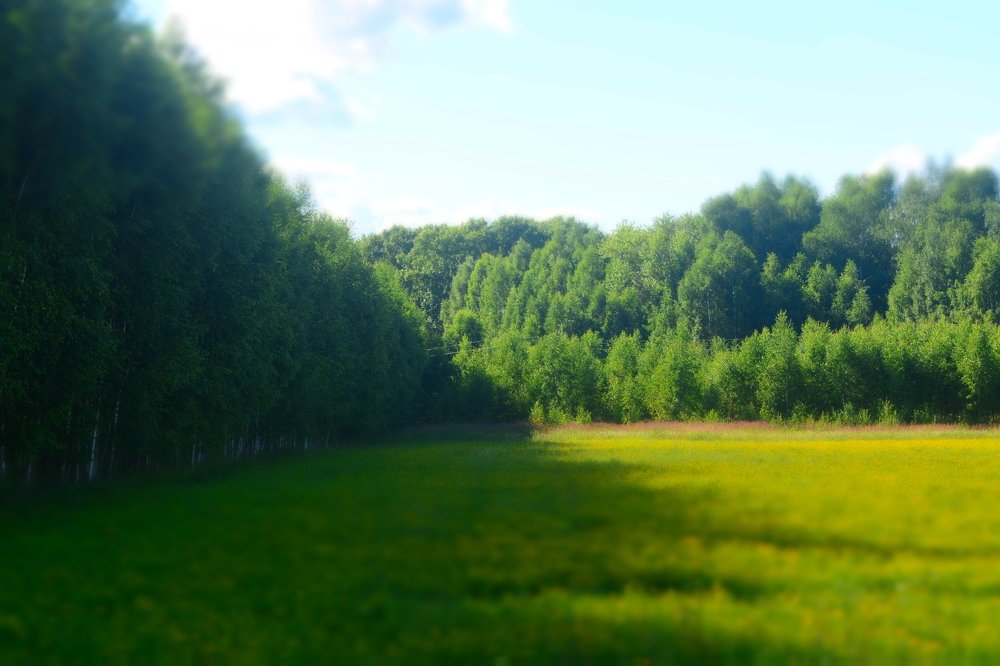 Photograph by Ксения Лебедева