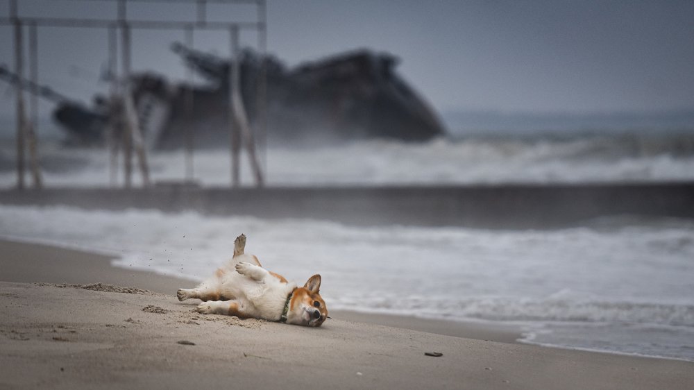 Photograph by Мария Давыдова