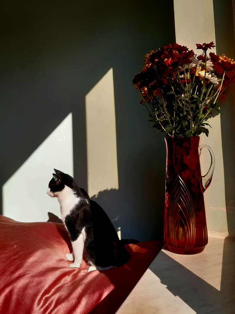 Photograph by Марина Рафаелян