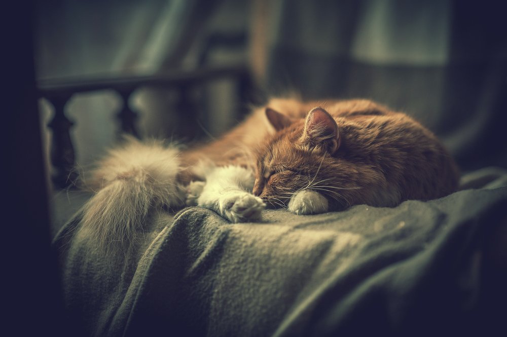 Photograph by Михаил Гаврилов