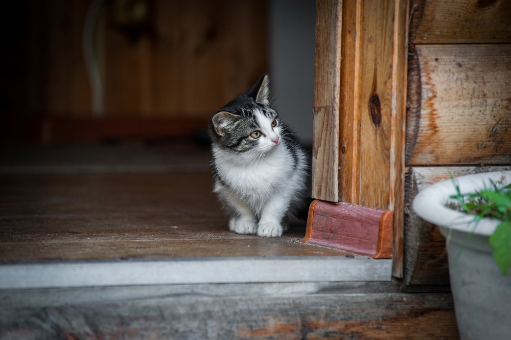 Photograph by Михаил Гаврилов