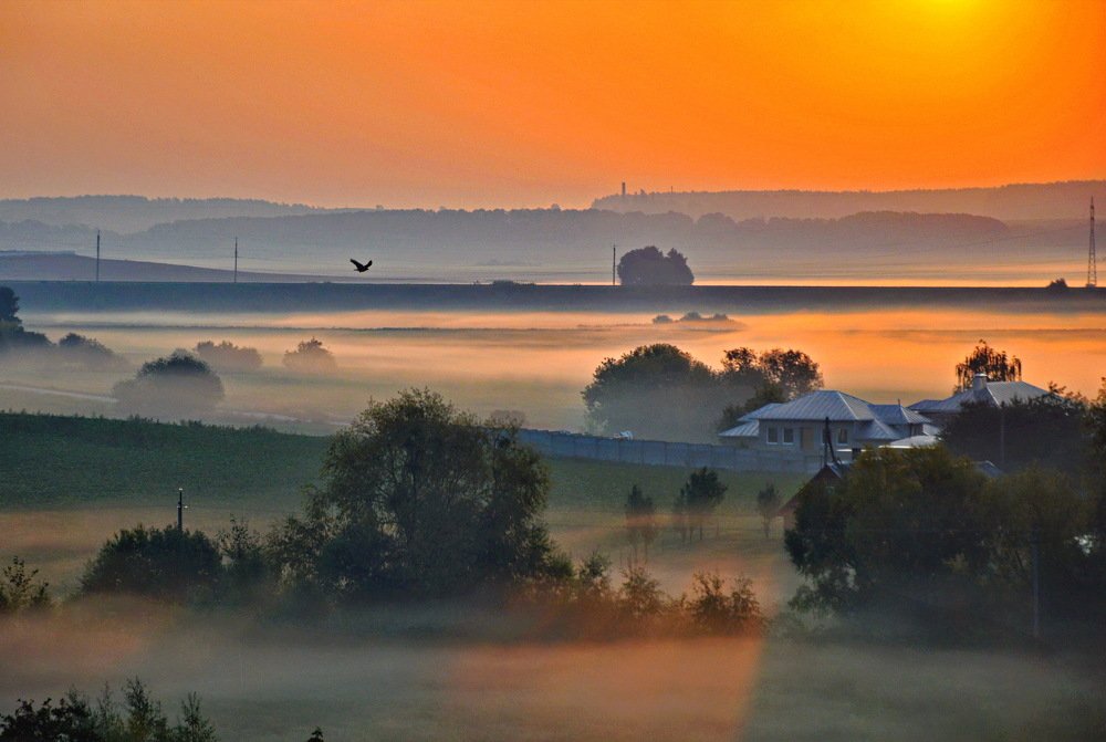 Photograph by Marija Stanislavich